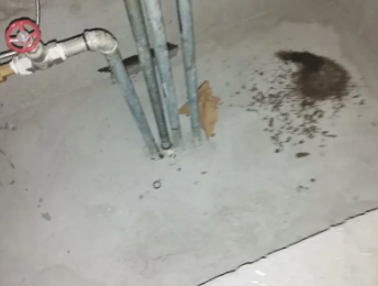 辉县卫生间测漏水价格明细