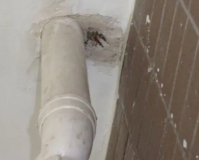 辉县漏水检测哪家好